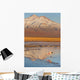 Atacama Wall Decal