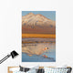Atacama Wall Decal