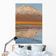 Atacama Wall Decal