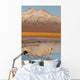 Atacama Wall Decal
