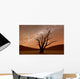 Deadvlei Namibia Wall Decal