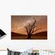 Deadvlei Namibia Wall Decal