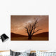 Deadvlei Namibia Wall Decal
