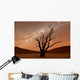 Deadvlei Namibia Wall Decal
