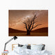 Deadvlei Namibia Wall Decal