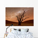 Deadvlei Namibia Wall Decal