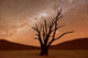 Deadvlei Namibia Wall Decal
