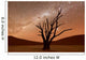Deadvlei Namibia Wall Decal