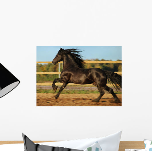 Friesian Horse Wall Decal