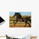 Friesian Horse Wall Decal