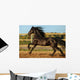 Friesian Horse Wall Decal