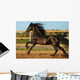 Friesian Horse Wall Decal