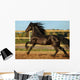 Friesian Horse Wall Decal