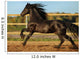 Friesian Horse Wall Decal
