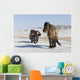 Mongols Vehicles Wall Decal