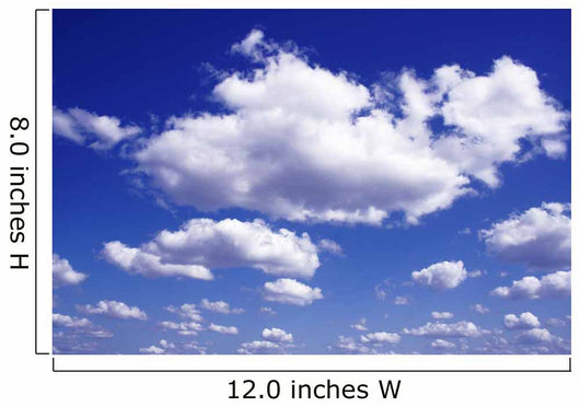 Nuage (Cloud) Wall Decal