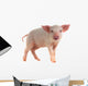 Pig Wall Decal