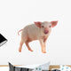 Pig Wall Decal