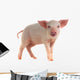 Pig Wall Decal
