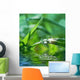 Green with Grass Wall Decal