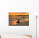Baby Fur Seal Next to Water Punta Wall Decal