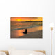 Baby Fur Seal Next to Water Punta Wall Decal