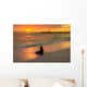 Baby Fur Seal Next to Water Punta Wall Decal