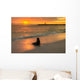 Baby Fur Seal Next to Water Punta Wall Decal