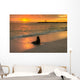 Baby Fur Seal Next to Water Punta Wall Decal