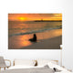 Baby Fur Seal Next to Water Punta Wall Decal