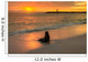 Baby Fur Seal Next to Water Punta Wall Decal
