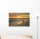 Baby Fur Seal Punta Wall Decal