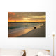 Baby Fur Seal Punta Wall Decal