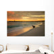 Baby Fur Seal Punta Wall Decal