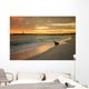 Baby Fur Seal Punta Wall Decal
