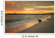 Baby Fur Seal Punta Wall Decal