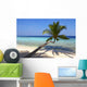 Beautiful Beach with Palm Wall Decal