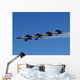 Formation Wall Decal