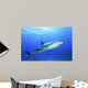 Shark in Open Water Wall Decal