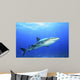 Shark in Open Water Wall Decal