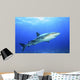 Shark in Open Water Wall Decal