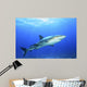 Shark in Open Water Wall Decal