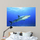 Shark in Open Water Wall Decal