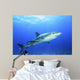 Shark in Open Water Wall Decal