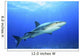 Shark in Open Water Wall Decal