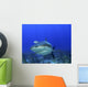 Shark Head-on Wall Decal