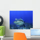 Shark Head-on Wall Decal