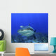 Shark Head-on Wall Decal