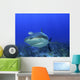Shark Head-on Wall Decal