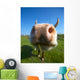 Amusing Close-up Cow's Mug Wall Decal
